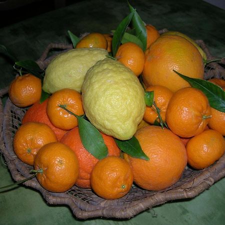 Agriturismo Baglio Donna Santa Dattilo المظهر الخارجي الصورة