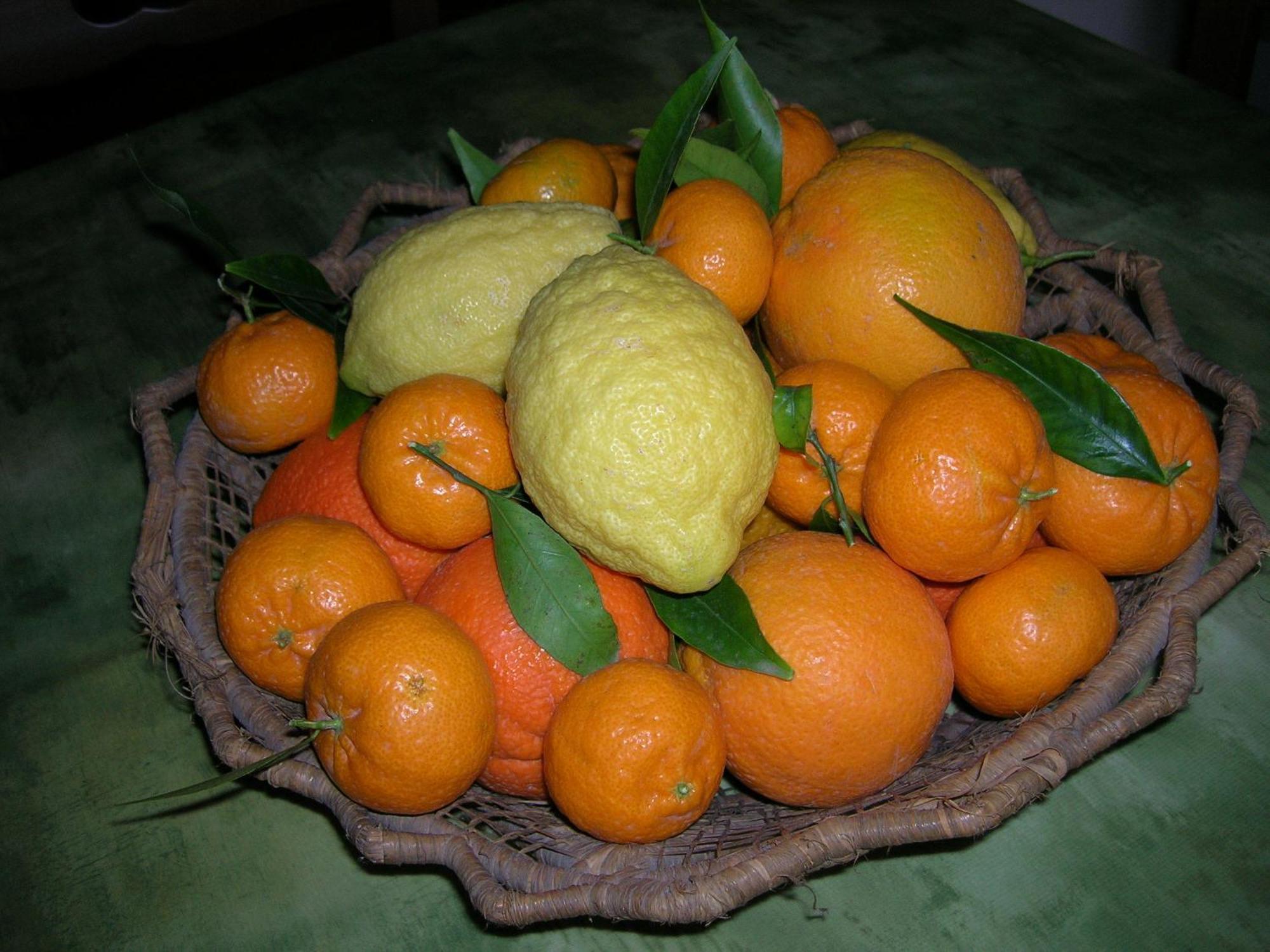 Agriturismo Baglio Donna Santa Dattilo المظهر الخارجي الصورة